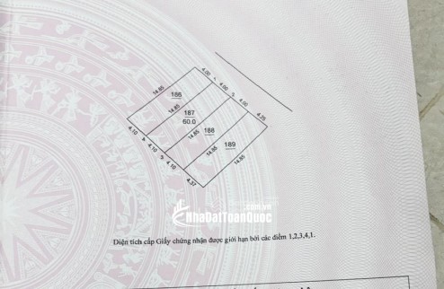 CHÍNH CHỦ BÁN GẤP ĐẤT THỔ CƯ SẴN SỔ TẠI ĐẠI MẠCH-ĐÔNG ANH